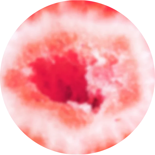 VEEV ONE Strawberry e-liquid pod 